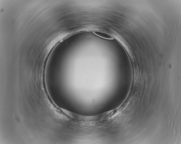 X0000089670861200706211152