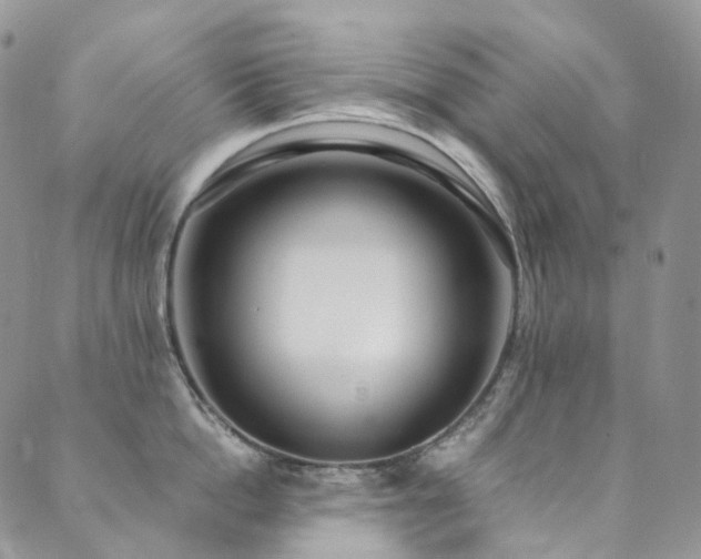 X0000089670862200706211152