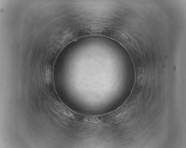 X0000089670866200706211151