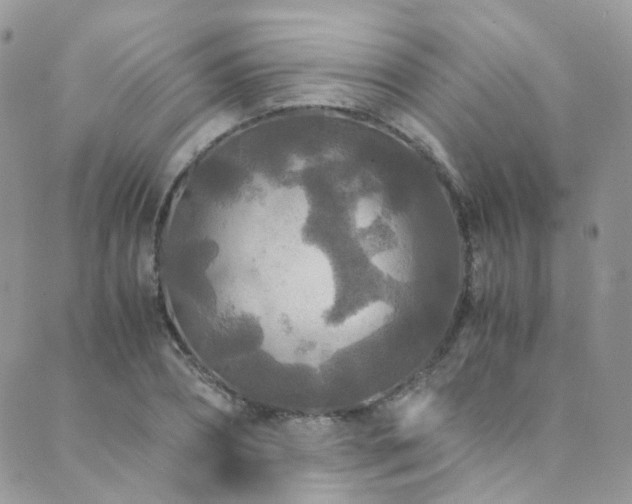 X0000089670882200706211151
