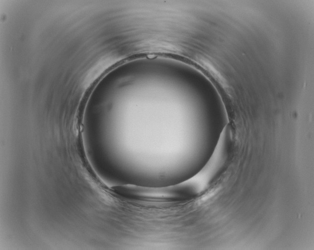 X0000089670885200706211151