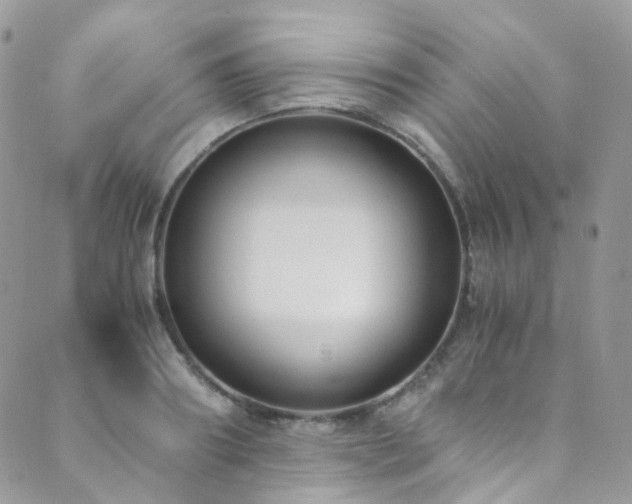 X0000089670890200706211151
