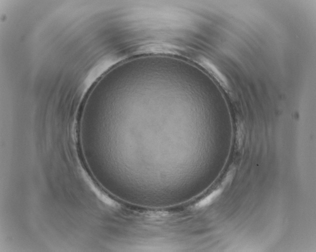 X0000089670893200706211151