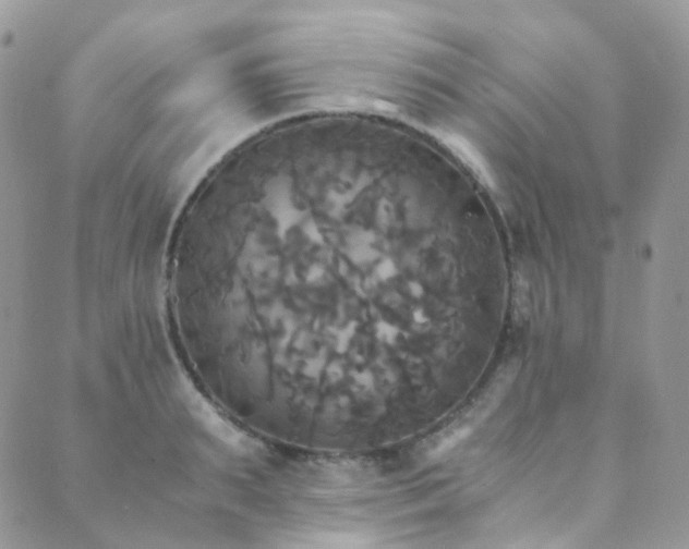 X0000089670895200706211151