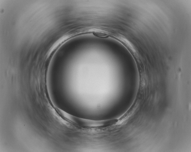 X0000089670910200706211151