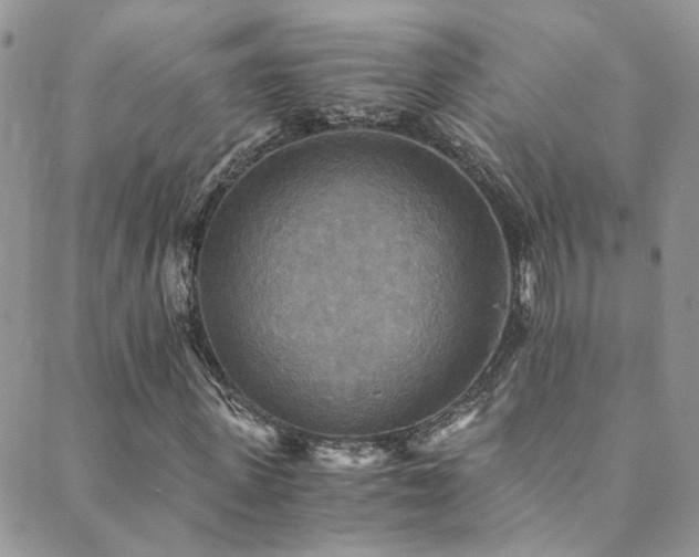 X0000089670915200706211150