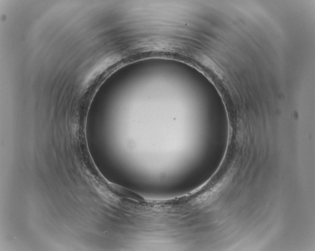 X0000089670922200706211150