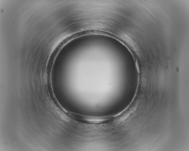 X0000089670924200706211150
