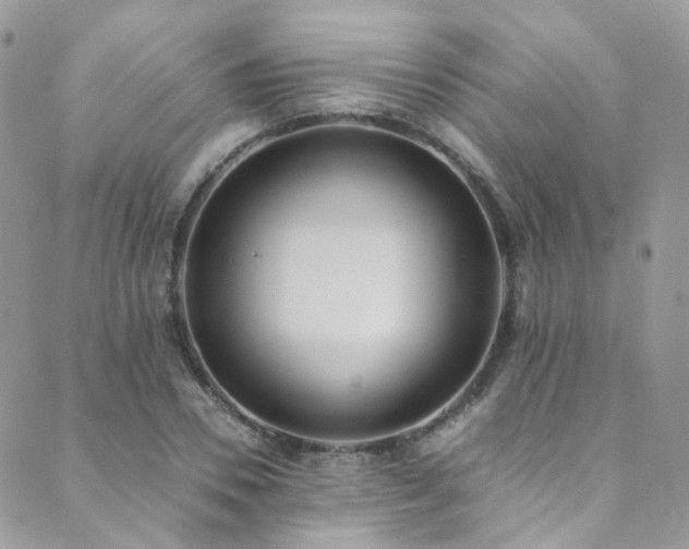 X0000089670930200706211150