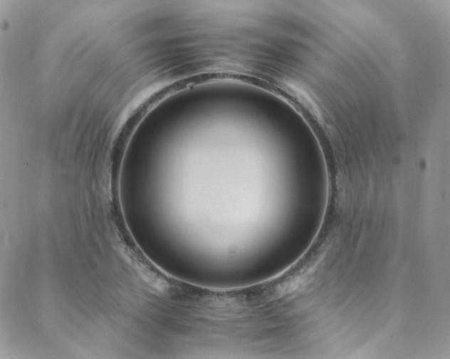 X0000089670931200706211150