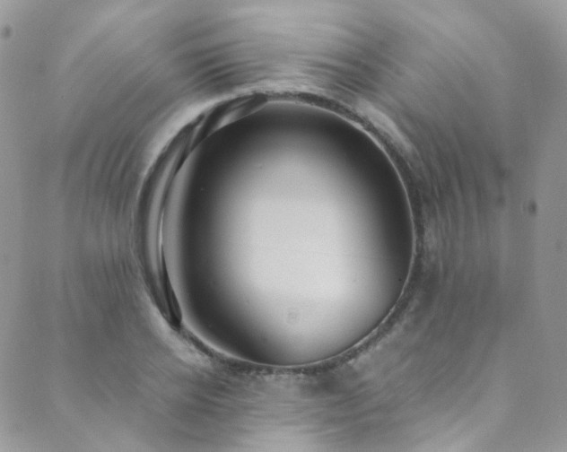 X0000089670934200706211150