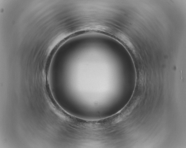 X0000089670936200706211150