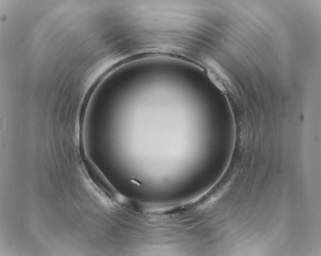 X0000089670940200706211150