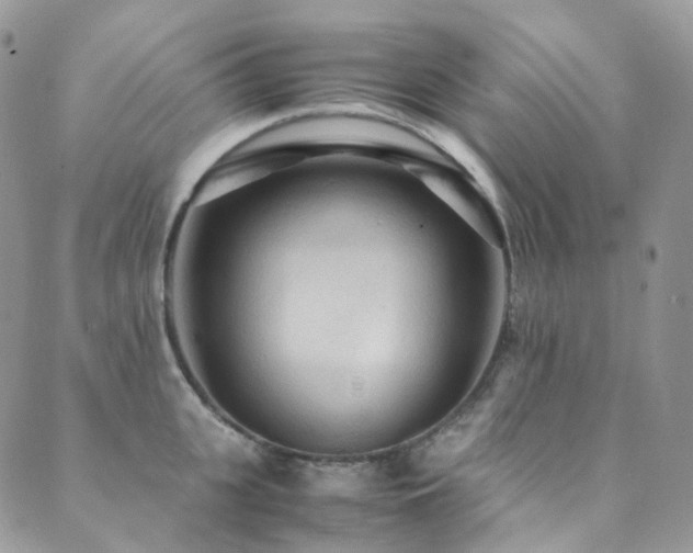 X0000089670951200706211151