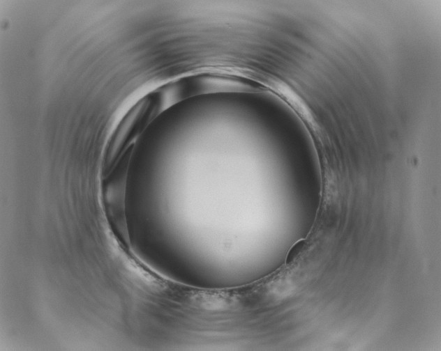 X0000089670955200706211151