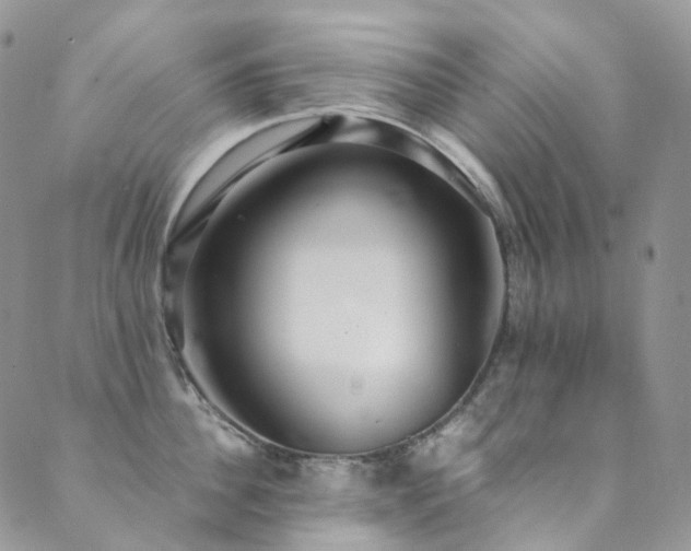 X0000089670956200706211151