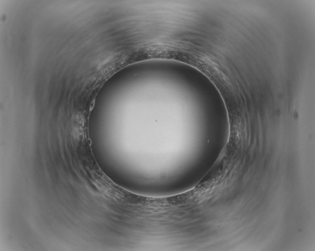 X0000089670964200706211150