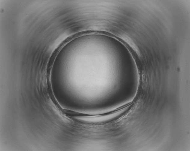 X0000089670972200706211150