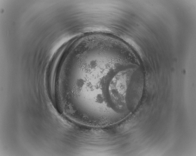 X0000089670983200706211150