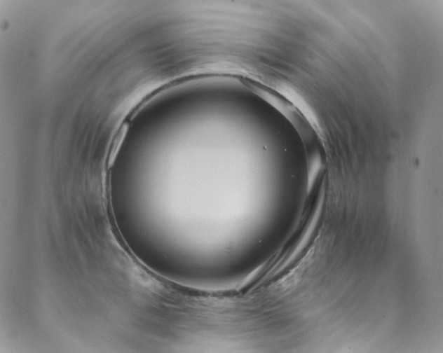 X0000089670996200706211149