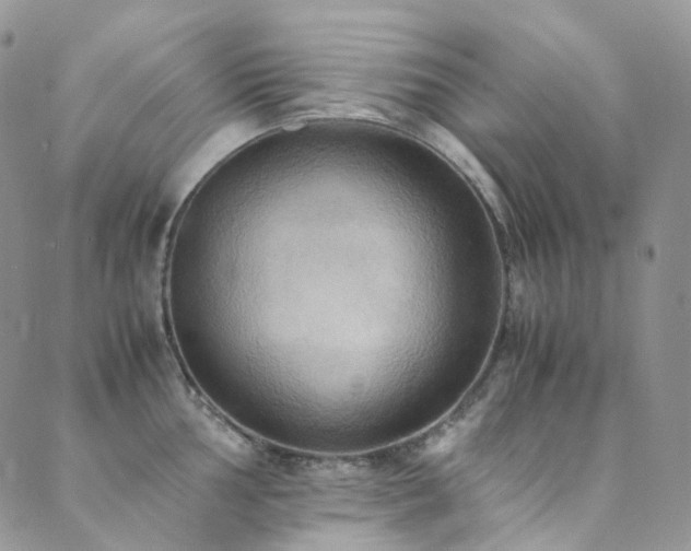 X0000089671002200706211149