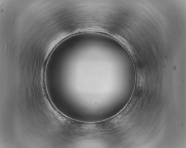 X0000089671006200706211149