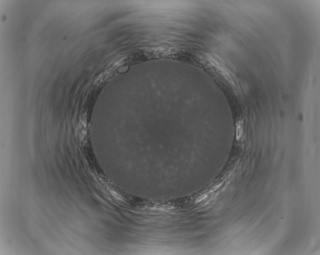 X0000089671011200706211148