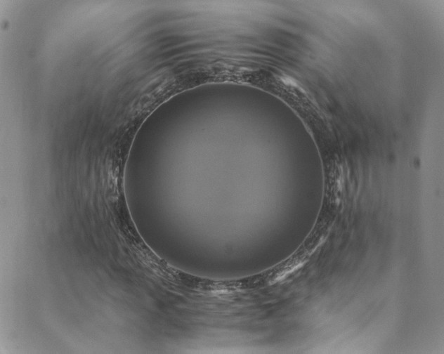 X0000089671013200706211148