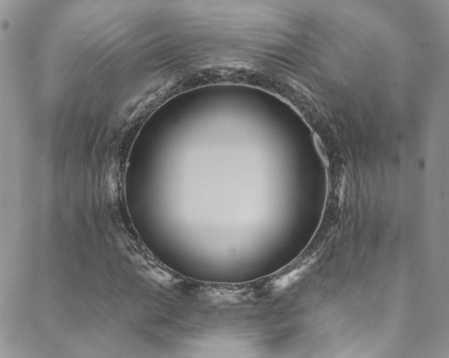 X0000089671014200706211148