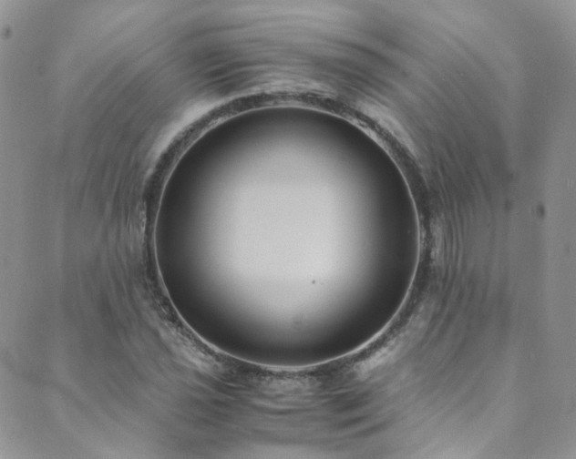 X0000089671021200706211149