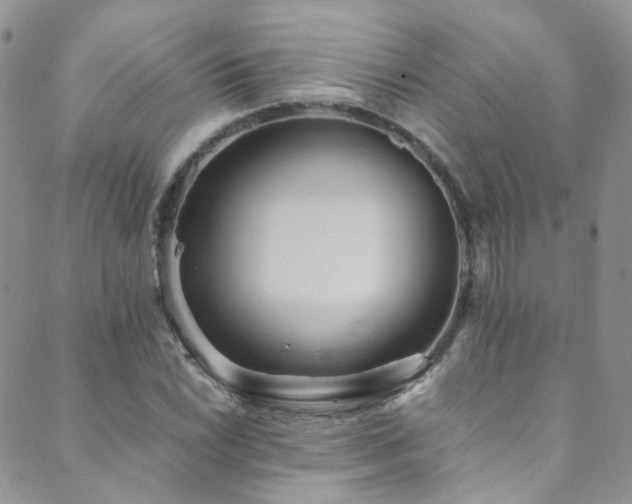 X0000089671022200706211149