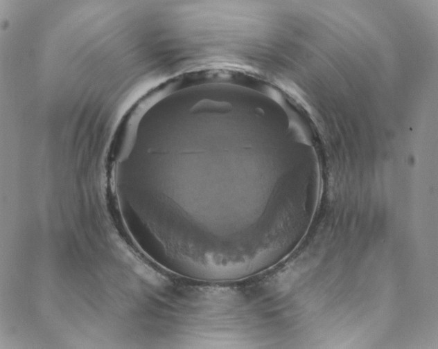 X0000089671024200706211149