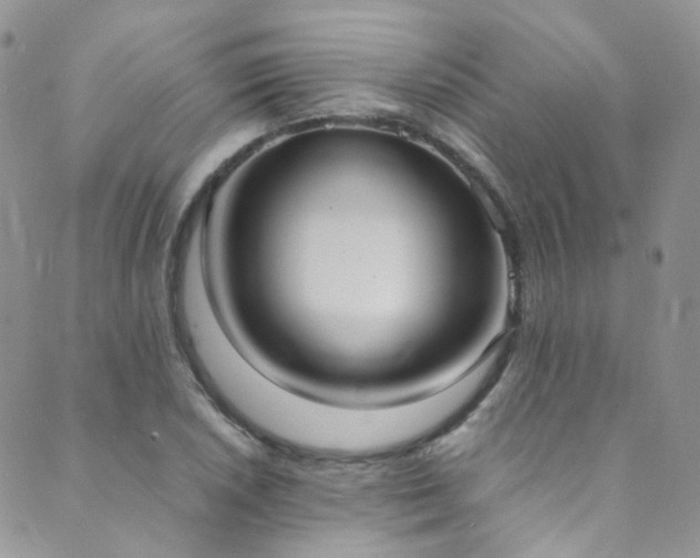 X0000089671026200706211149