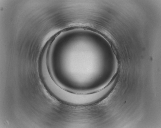X0000089671030200706211149