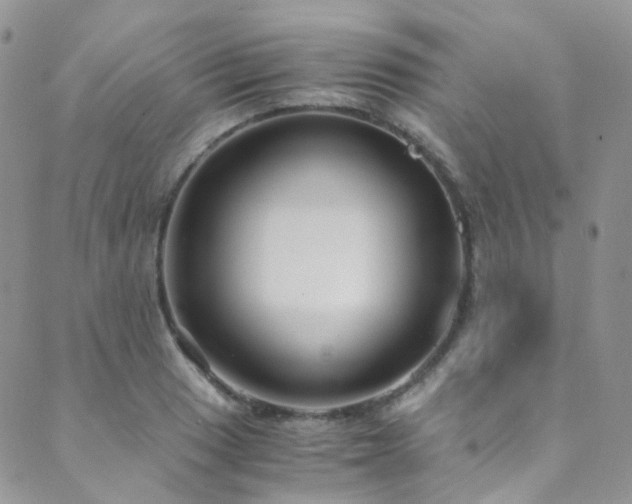 X0000089671033200706211149