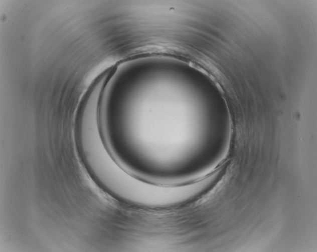 X0000089671034200706211149