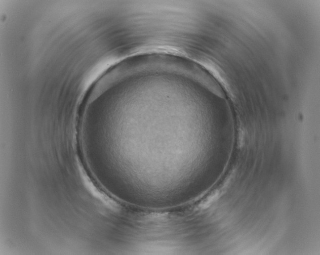 X0000089671038200706211149