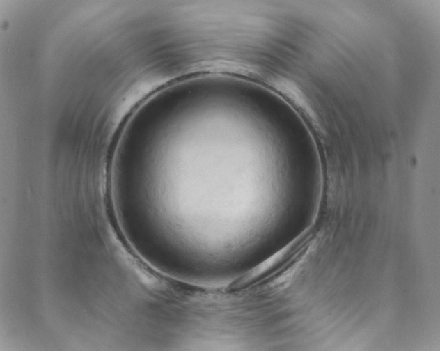 X0000089671040200706211149