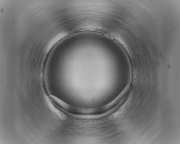 X0000089671042200706211149