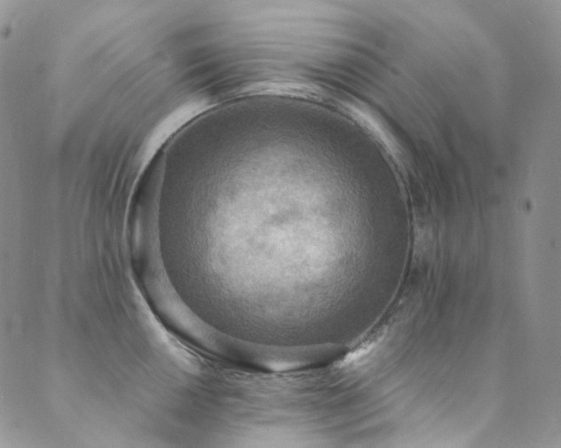 X0000089671050200706211149