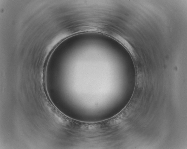 X0000089671051200706211149