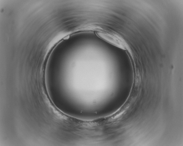 X0000089671053200706211149