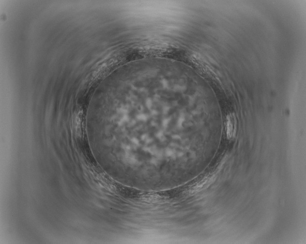 X0000089671059200706211148
