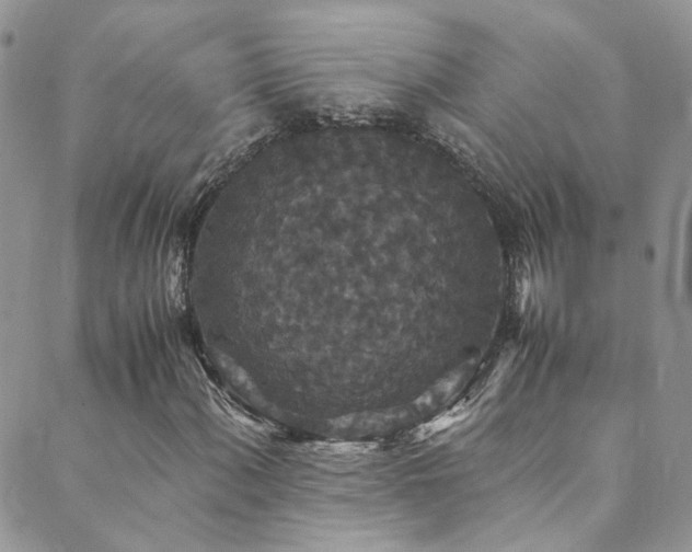 X0000089671060200706211148