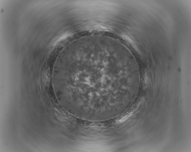 X0000089671063200706211148