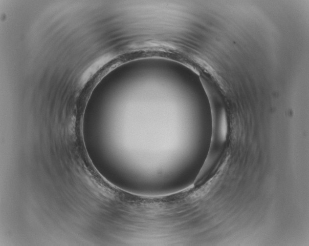 X0000089671066200706211148