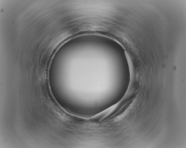 X0000089671073200706211148