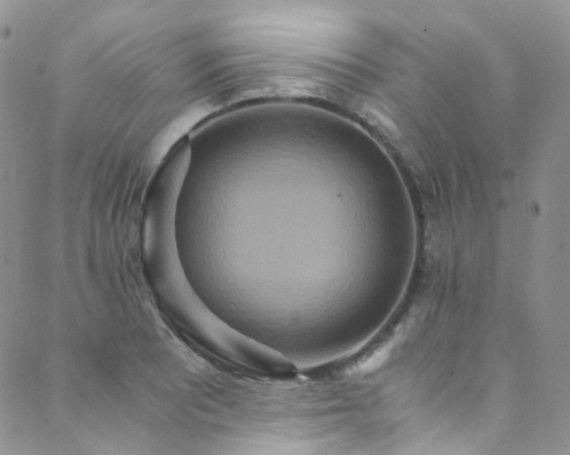 X0000089671081200706211148