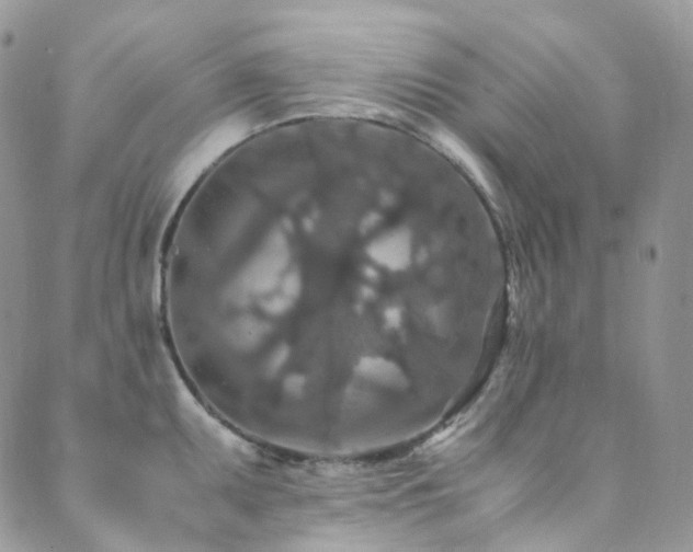 X0000089671095200706211148