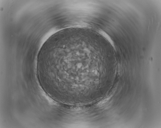 X0000089671099200706211148
